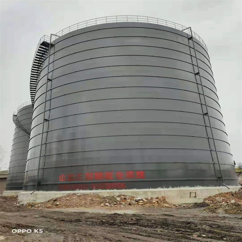 沉湖管委会3万吨大型钢板库