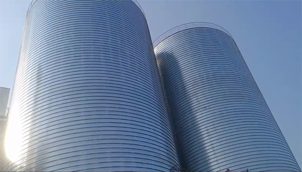 沉湖管委会2座混凝土高架卷板仓