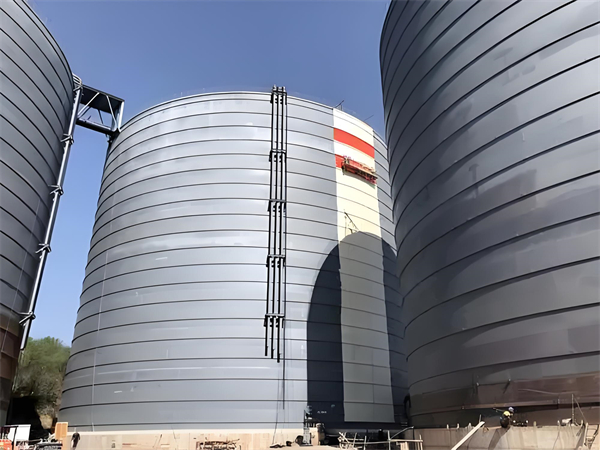 沉湖管委会焦粉仓